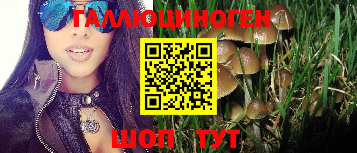 Псилоцибиновые грибы Magic Shrooms Кизилюрт